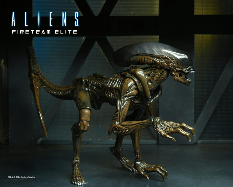 Aliens: Fireteam Elite Runner Alien Action Figure - Action & Toy Figures -  Neca