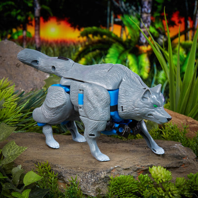 Transformers Vintage Beast Wars Maximal Wolfang - Collectables > Action Figures > toys -  Hasbro