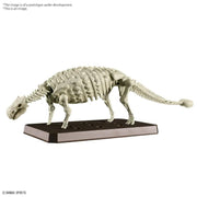 Plannosaurus Ankylosaurus Model Kit -  -  Bandai