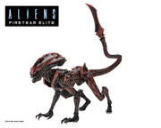 Aliens: Fireteam Elite Prowler Alien Action Figure - Action & Toy Figures -  Neca
