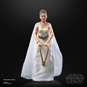Star Wars The Black Series The Power of the Force Princess Leia Organa (Yavin IV) 6-Inch Action Figure - Exclusive - Collectables > Action Figures > toys -  Hasbro