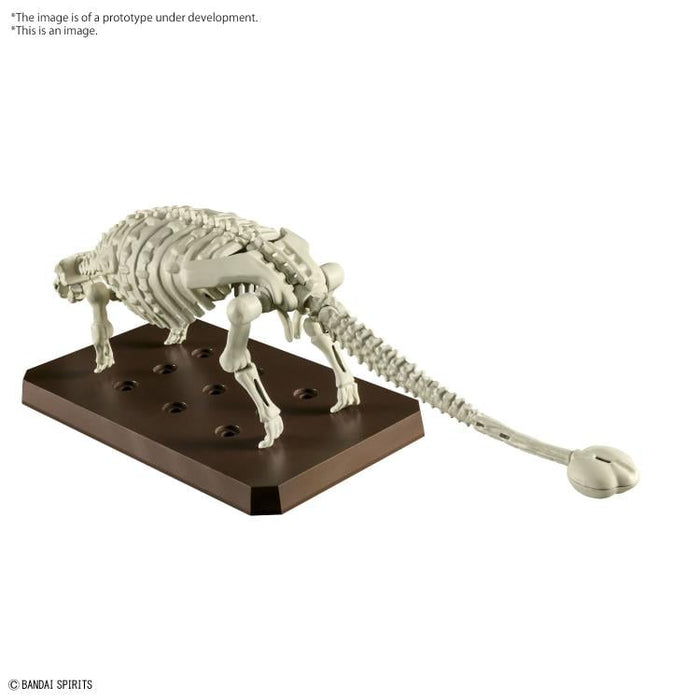 Plannosaurus Ankylosaurus Model Kit -  -  Bandai