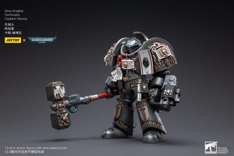 Warhammer 40K - Grey Knights - Terminator Caddon Vibova - Collectables > Action Figures > toys -  Joy Toy