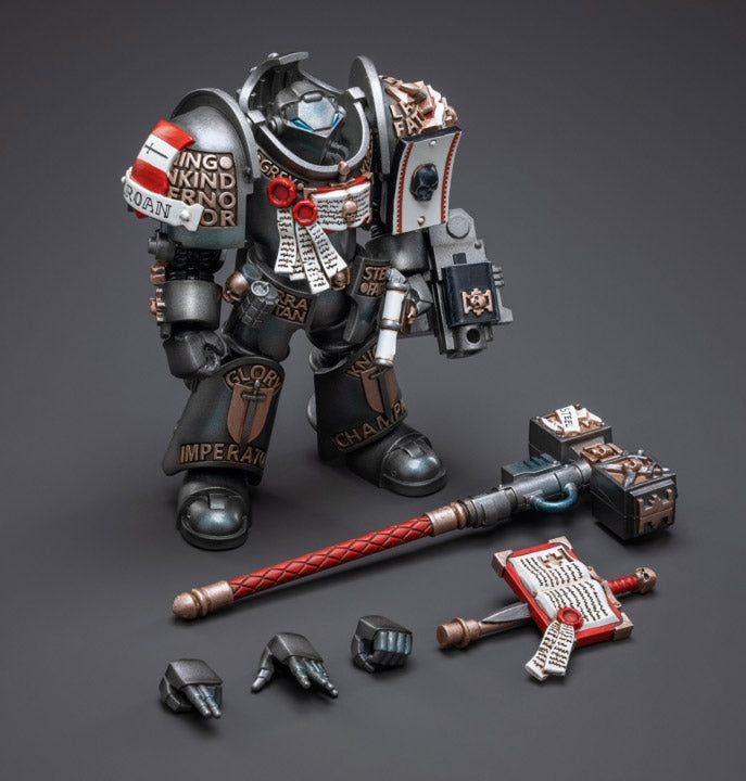 Warhammer 40K - Grey Knights - Terminator Caddon Vibova - Collectables > Action Figures > toys -  Joy Toy