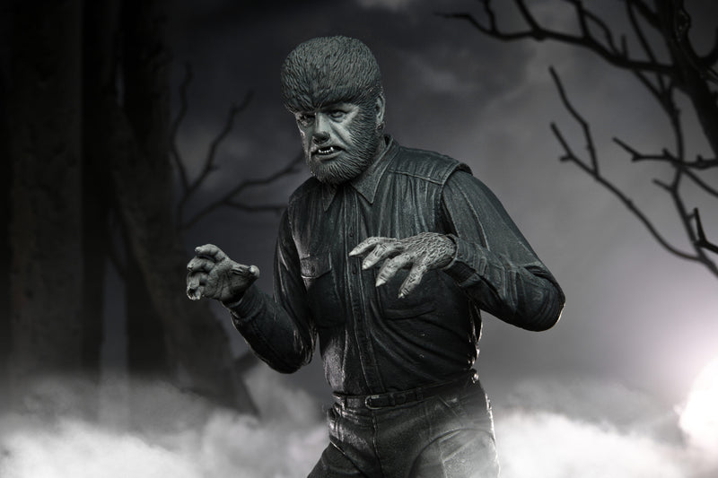 Universal Monsters - Ultimate Wolf Man - Black & White - Collectables > Action Figures > toys -  Neca
