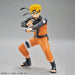 Naruto: Shippuden Entry Grade Naruto Uzumaki Model Kit - Model Kit > Collectable > Gunpla > Hobby -  Bandai