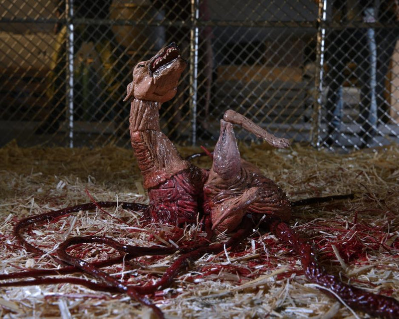 The Thing Ultimate Dog Creature Set (preorder Q4) - Collectables > Action Figures > toys -  Neca