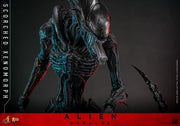 Alien: Romulus MMS784 Scorched Xenomorph 1/6th Scale Collectible Figure (preorder March 2026 ) - Collectables > Action Figures > toys -  Hot Toys