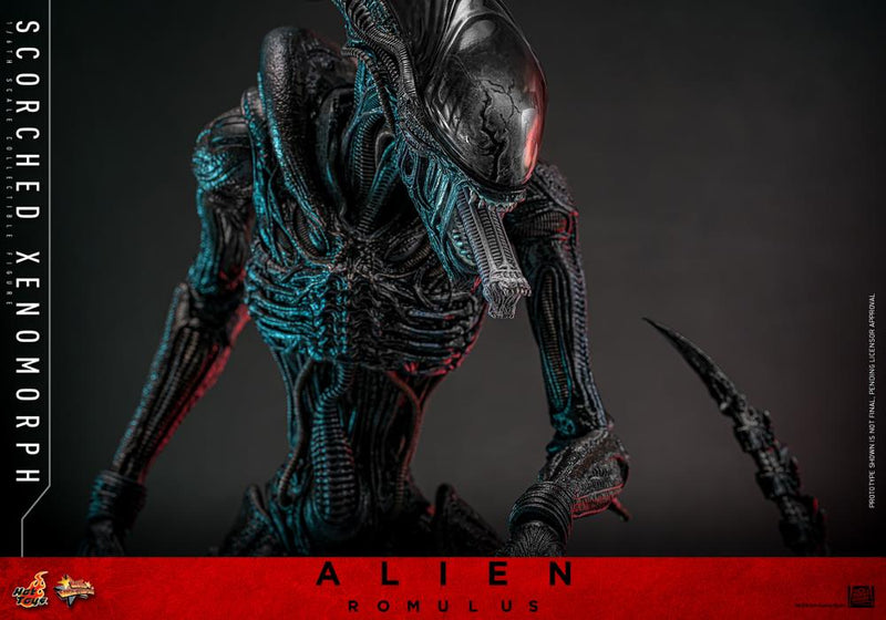Alien: Romulus MMS784 Scorched Xenomorph 1/6th Scale Collectible Figure (preorder March 2026 ) - Collectables > Action Figures > toys -  Hot Toys