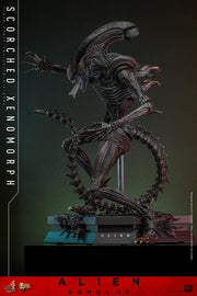 Alien: Romulus MMS784 Scorched Xenomorph 1/6th Scale Collectible Figure (preorder March 2026 ) - Collectables > Action Figures > toys -  Hot Toys