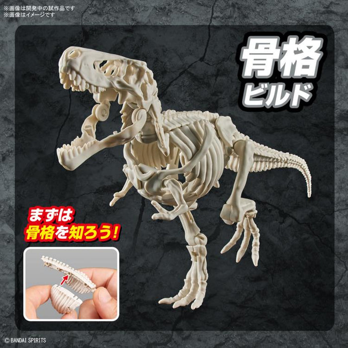 Planosaurus Tyrannosaurus Model Kit - Model Kit > Collectable > Gunpla > Hobby -  Bandai
