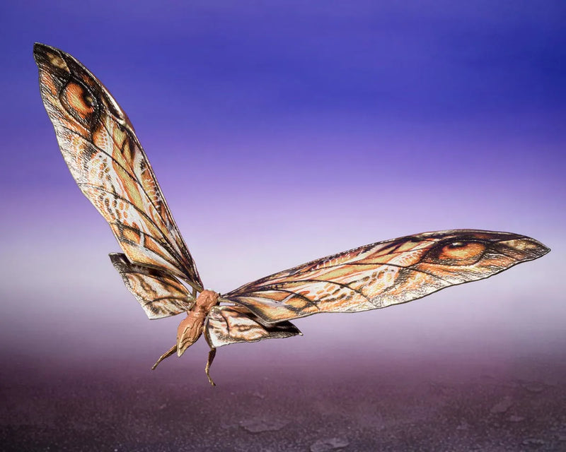 Godzilla x Kong: The New Empire S.H.MonsterArts - Suko & Mothra - Collectables > Action Figures > toys -  Bandai