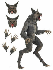The Howling Ultimate Werewolf Action Figure (preorder Q4 2025) - Collectables > Action Figures > toys -  Neca