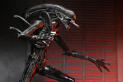 Alien: Romulus Ultimate Xenomorph XX121 ( Preorder Q4 2025) - Collectables > Action Figures > toys -  Neca