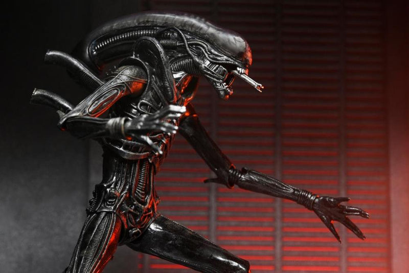 Alien: Romulus Ultimate Xenomorph XX121 ( Preorder Q4 2025) - Collectables > Action Figures > toys -  Neca