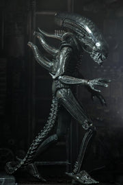 Neca - Alien - Ultimate 40th Anniversary Big Chap - Action & Toy Figures -  Neca