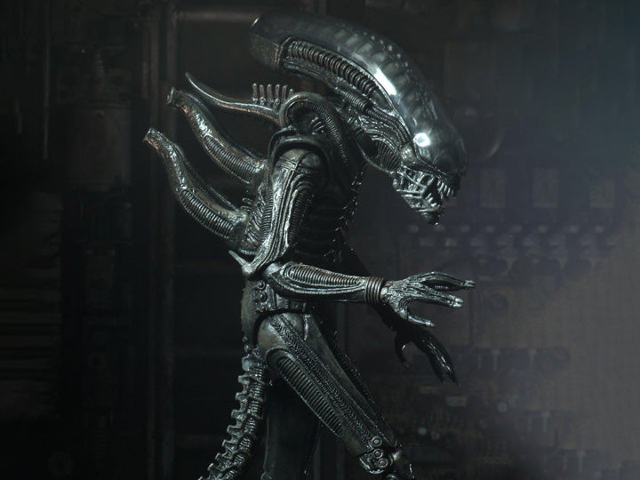 Neca - Alien - Ultimate 40th Anniversary Big Chap — Toy Snowman