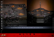 Alien: Romulus MMS784 Scorched Xenomorph 1/6th Scale Collectible Figure (preorder March 2026 ) - Collectables > Action Figures > toys -  Hot Toys