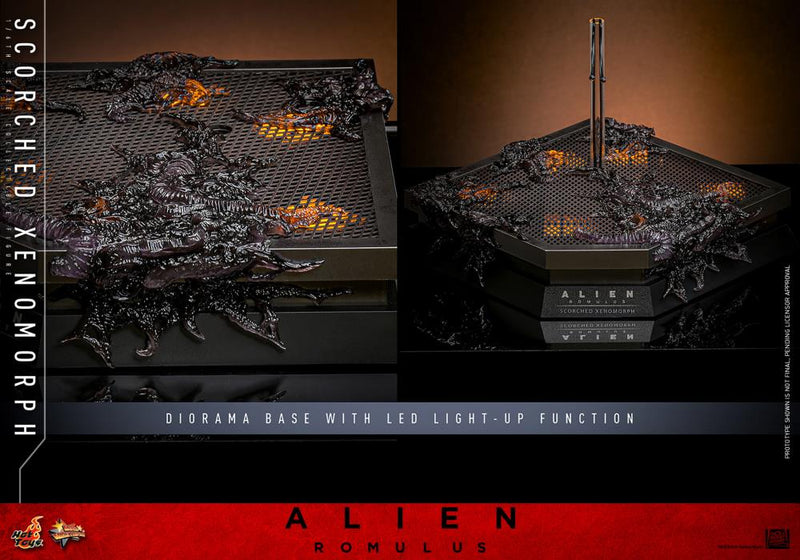 Alien: Romulus MMS784 Scorched Xenomorph 1/6th Scale Collectible Figure (preorder March 2026 ) - Collectables > Action Figures > toys -  Hot Toys