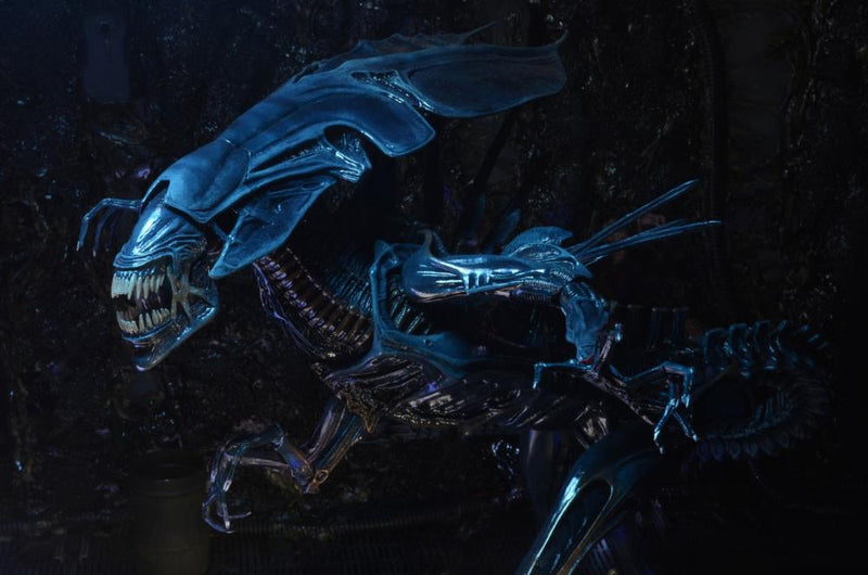 Aliens Xenomorph Queen Deluxe Action Figure (preorder Q4) - Collectables > Action Figures > toys -  Neca