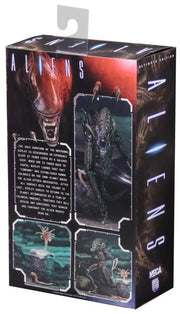 Neca - Aliens Ultimate Warrior - Collectables > Action Figures > toys -  Neca