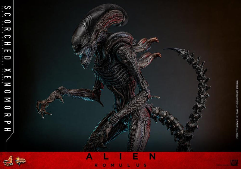 Alien: Romulus MMS784 Scorched Xenomorph 1/6th Scale Collectible Figure (preorder March 2026 ) - Collectables > Action Figures > toys -  Hot Toys