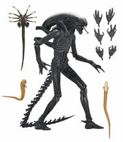 Alien: Romulus Ultimate Xenomorph XX121 ( Preorder Q4 2025) - Collectables > Action Figures > toys -  Neca