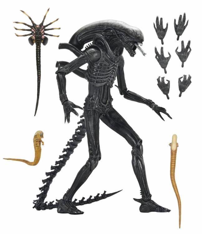 Alien: Romulus Ultimate Xenomorph XX121 ( Preorder Q4 2025) - Collectables > Action Figures > toys -  Neca