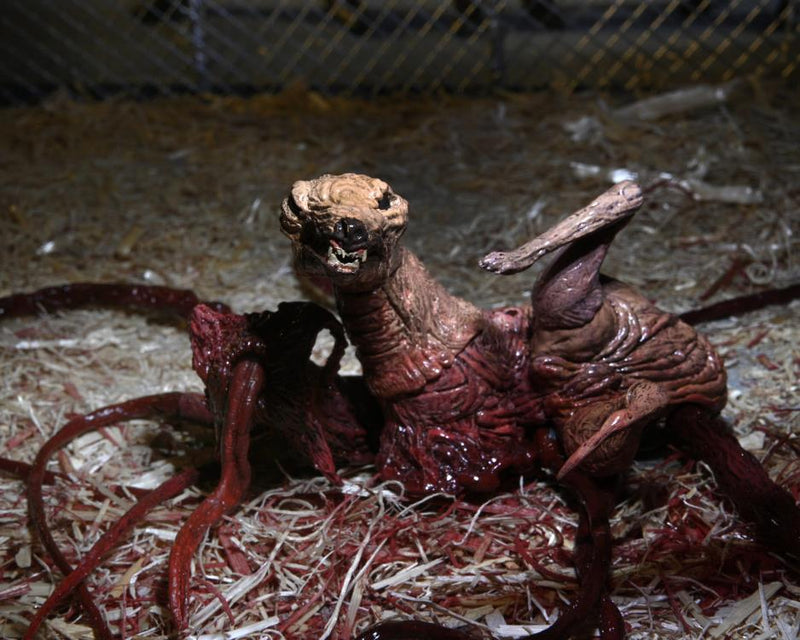 The Thing Ultimate Dog Creature Set (preorder Q4) - Collectables > Action Figures > toys -  Neca