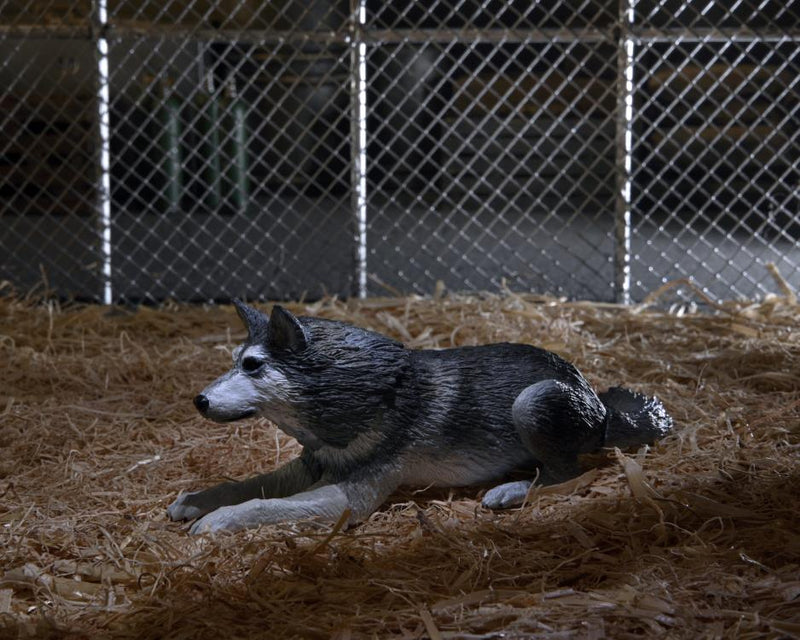 The Thing Ultimate Dog Creature Set (preorder Q4) - Collectables > Action Figures > toys -  Neca