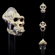 Mythic Legions: All-Stars Undead Heads Pack (preorder) - Collectables > Action Figures > toys -  Four Horsemen