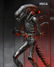 Alien: Romulus Ultimate Xenomorph XX121 ( Preorder Q4 2025) - Collectables > Action Figures > toys -  Neca