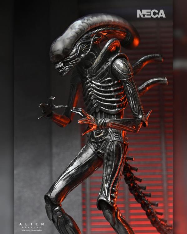 Alien: Romulus Ultimate Xenomorph XX121 ( Preorder Q4 2025) - Collectables > Action Figures > toys -  Neca