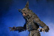 The Howling Ultimate Werewolf Action Figure (preorder Q4 2025) - Collectables > Action Figures > toys -  Neca