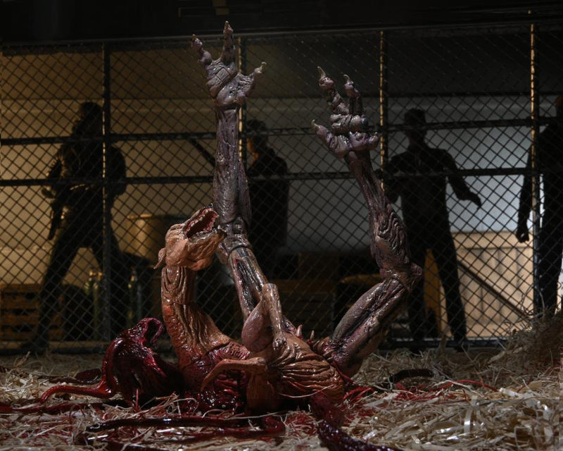 The Thing Ultimate Dog Creature Set (preorder Q4) - Collectables > Action Figures > toys -  Neca