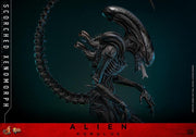 Alien: Romulus MMS784 Scorched Xenomorph 1/6th Scale Collectible Figure (preorder March 2026 ) - Collectables > Action Figures > toys -  Hot Toys
