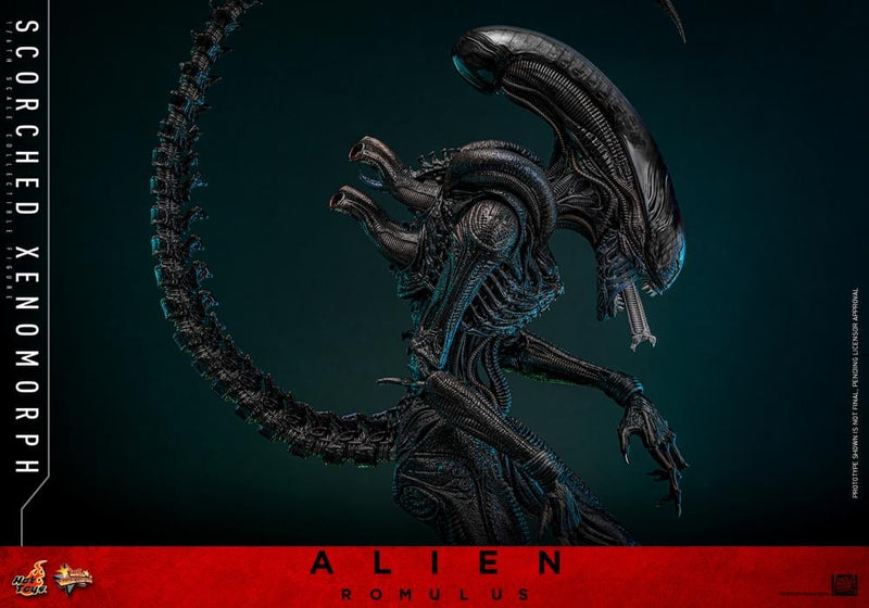 Alien: Romulus MMS784 Scorched Xenomorph 1/6th Scale Collectible Figure (preorder March 2026 ) - Collectables > Action Figures > toys -  Hot Toys