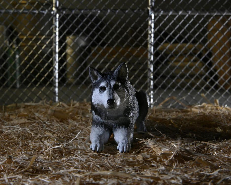 The Thing Ultimate Dog Creature Set (preorder Q4) - Collectables > Action Figures > toys -  Neca