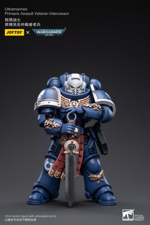 Warhammer 40K - Ultramarines - Veteran Intercessor - Collectables > Action Figures > toys -  Joy Toy