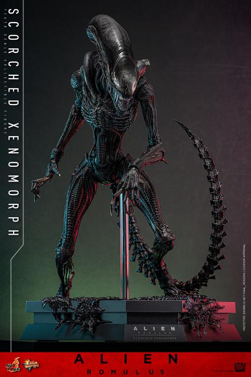 Alien: Romulus MMS784 Scorched Xenomorph 1/6th Scale Collectible Figure (preorder March 2026 ) - Collectables > Action Figures > toys -  Hot Toys