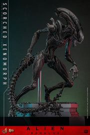 Alien: Romulus MMS784 Scorched Xenomorph 1/6th Scale Collectible Figure (preorder March 2026 ) - Collectables > Action Figures > toys -  Hot Toys
