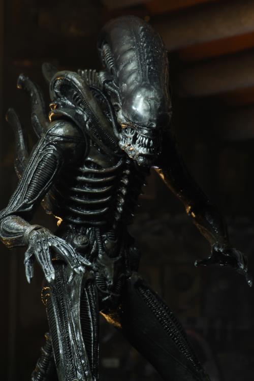Neca - Alien - Ultimate 40th Anniversary Big Chap — Toy Snowman