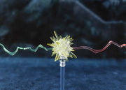 Harry Potter and the Goblet of Fire - S.H.Figuarts - Harry Potter - Harry Potter and the Goblet of Fire (Preorder Q1 2026) - Collectables > Action Figures > toys -  Bandai