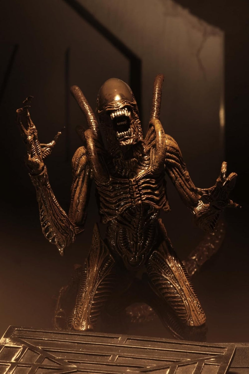 Alien Resurrection - Neca - Xenomorph Warrior