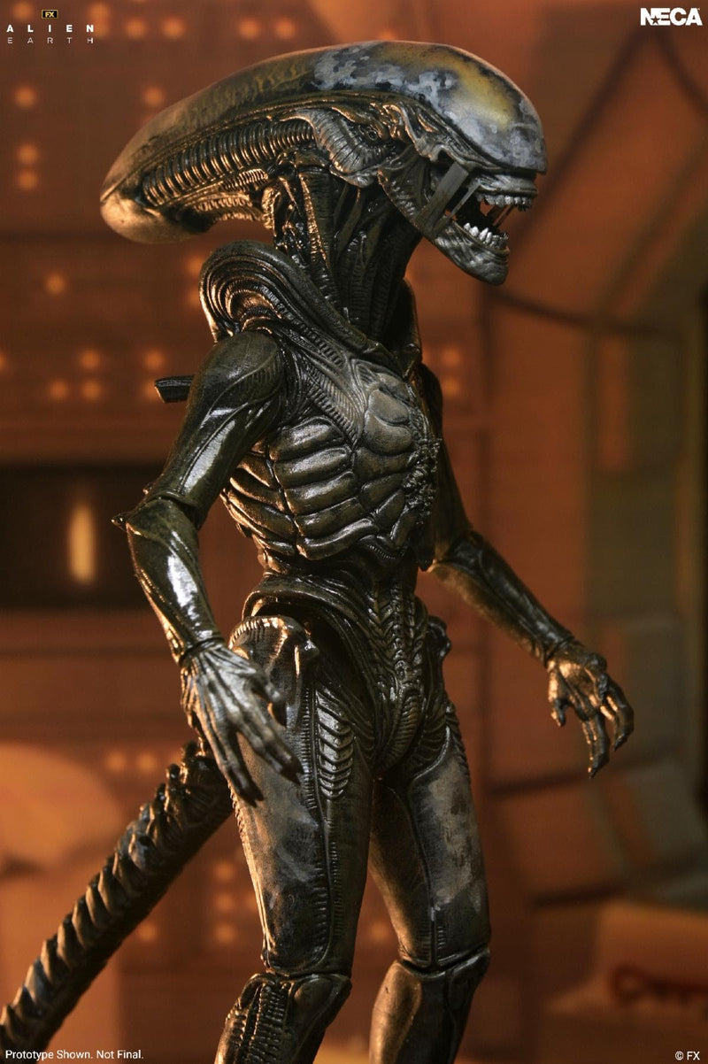 Alien Earth - Ultimate Wendy's Xenomorph (Preorder Q1 2027)