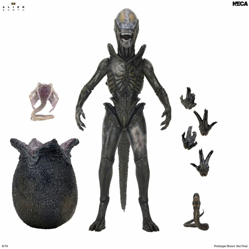 Alien Earth - Ultimate Wendy's Xenomorph (Preorder Q1 2027)