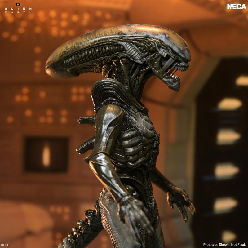 Alien Earth - Ultimate Wendy's Xenomorph (Preorder Q1 2027)