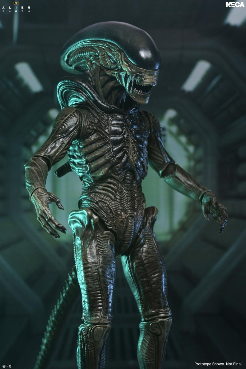 Alien Earth - Ultimate Xenomorph (Preorder Q1 2027)