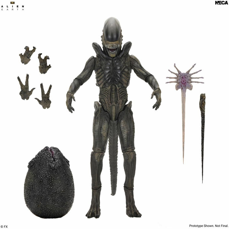 Alien Earth - Ultimate Xenomorph (Preorder Q1 2027)