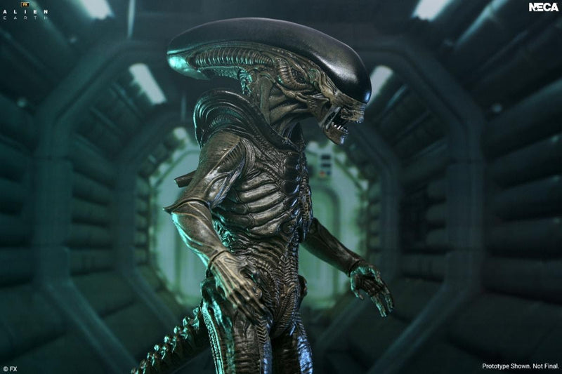 Alien Earth - Ultimate Xenomorph (Preorder Q1 2027)